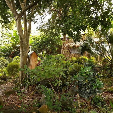 El Bamboo Cabins Balgue Exterior photo